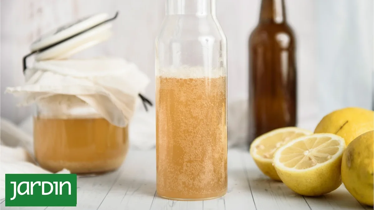Fermentados y germinados: cómo incorporarlos a la cocina de primavera