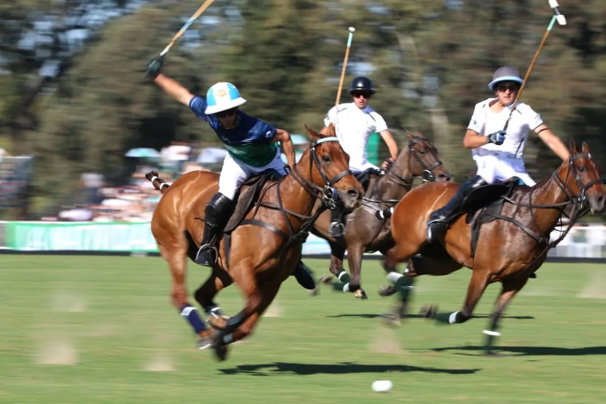 La Natividad-La Dolfina venció a La Hache y es bicampeón del Abierto de Hurlingham de polo