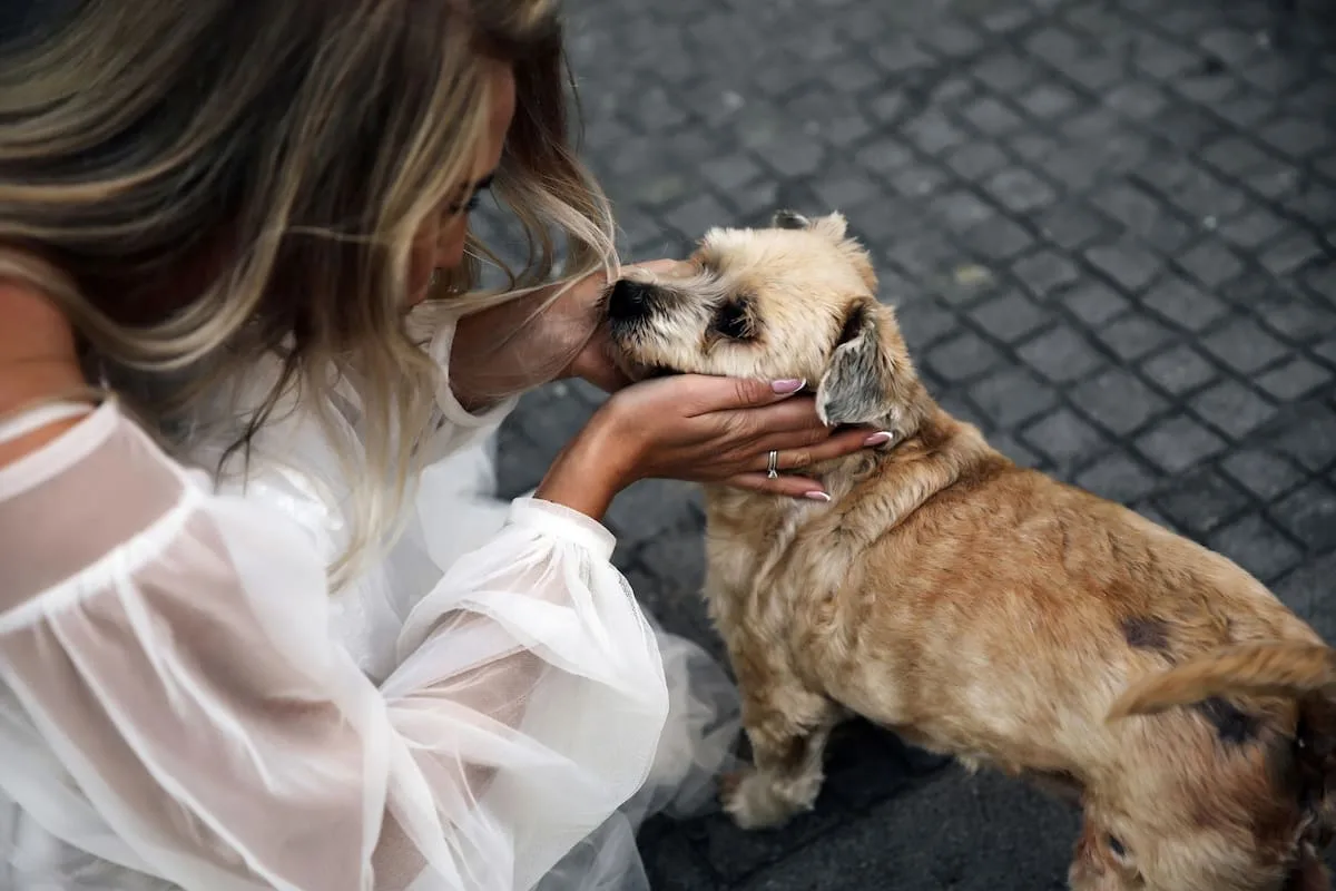 Qué significa que una persona acaricie siempre a los perros en la calle, según la psicología