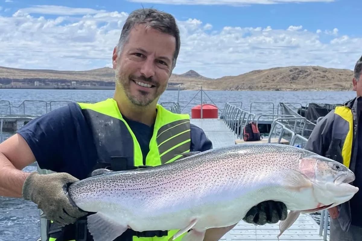 Acuicultura en Argentina: el sector que creció 27,6% y busca escalar en el mar