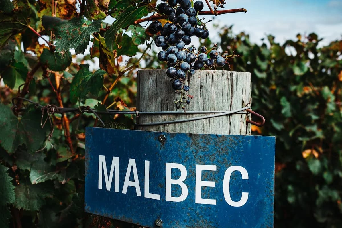 La Argentina arrasó en Londres, en el concurso en el que compitieron Malbec de todo el mundo