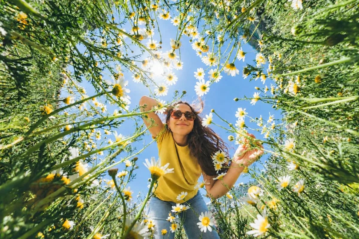 Alergias: la inflamación invisible detrás del mal humor de primavera