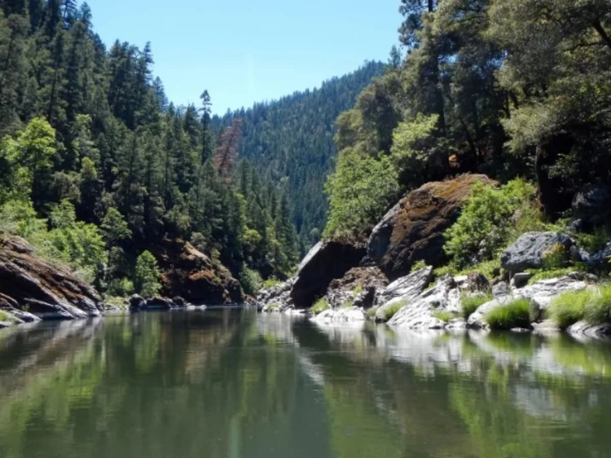 Tras la mayor remoción de represas de Estados Unidos, la tribu Yurok está devolviendo vida al río Klamath con millones de semillas nativas