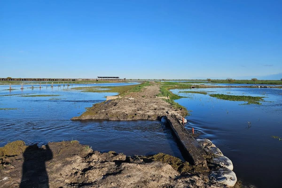 El Niño no es solo un problema del campo: es un riesgo de toda la cadena de valor