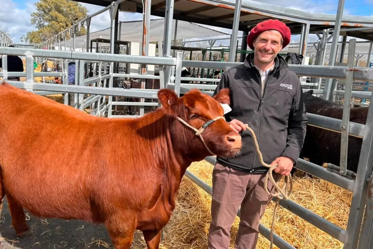 “Es fabuloso”: el buen momento para el negocio de las vacas destapó una ola de inversiones