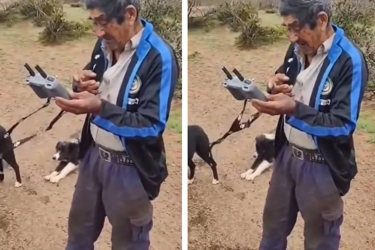 Don Pascual, de 82 años, recuperó casi 60 chivas perdidas en Neuquén con un dron
