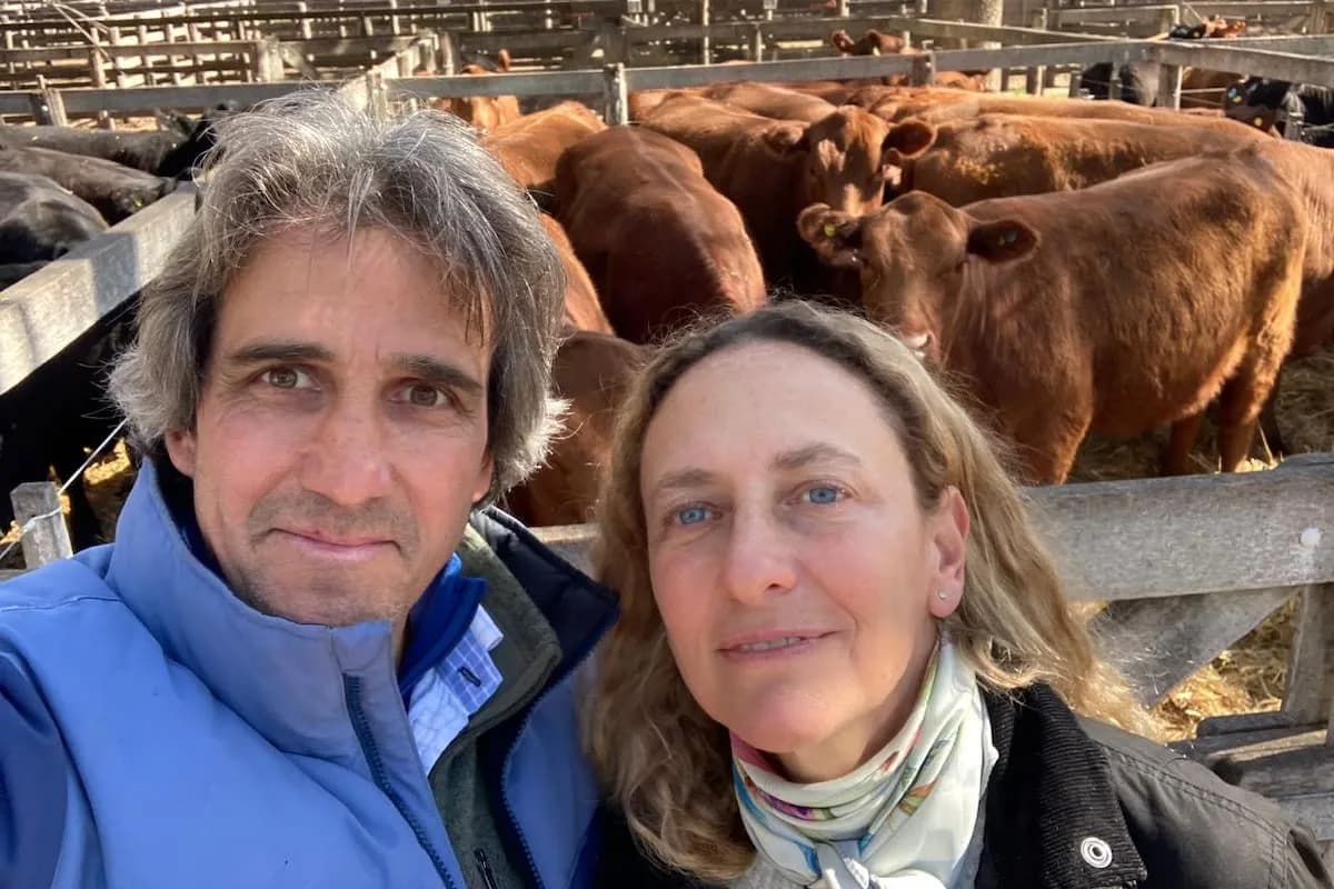 La decisión que cambió todo: cómo una empresa familiar logró un inesperado resultado con sus vacas