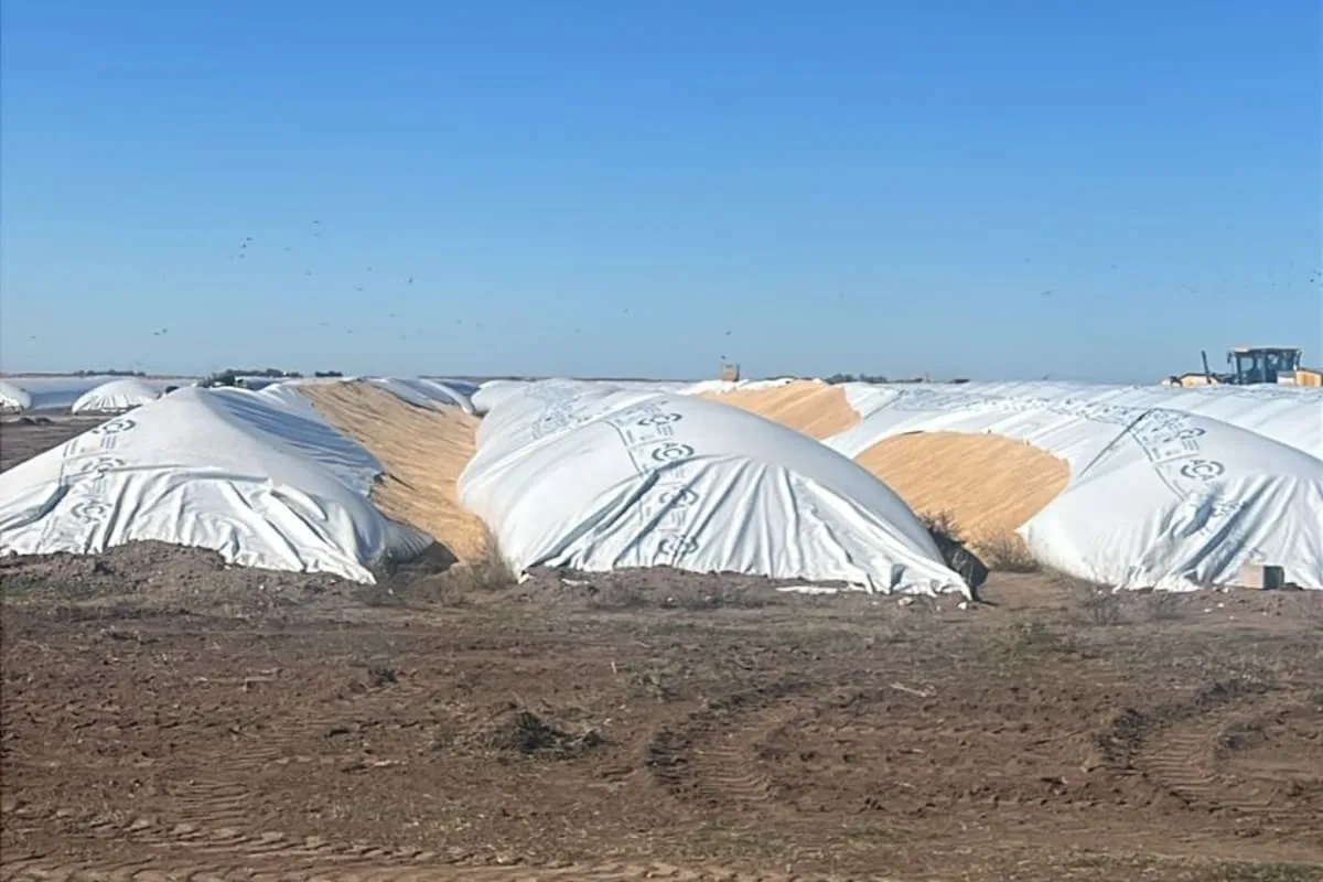 El campo celebró la media sanción de la ley de vandalismo rural: penas de hasta 10 años