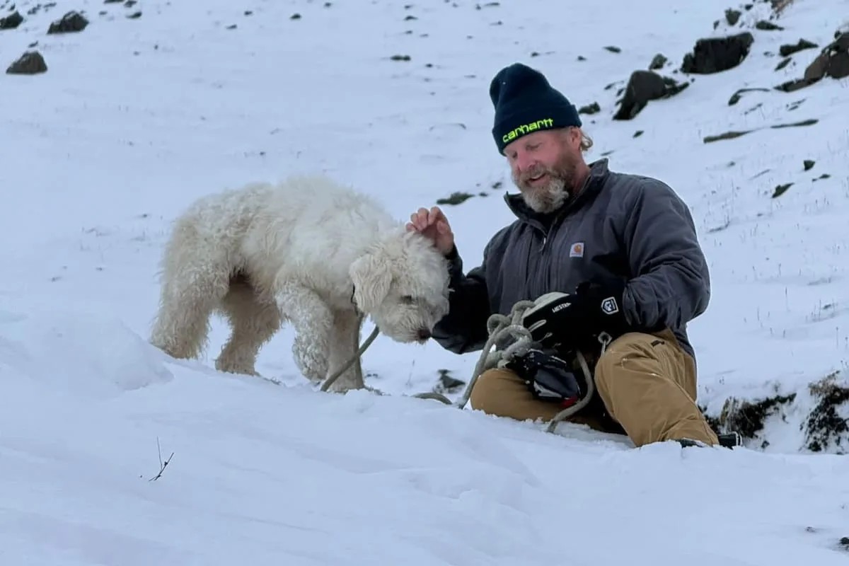 Una perra sobrevivió 50 horas perdida en Alaska tras una avalancha y un AirTag la salvó