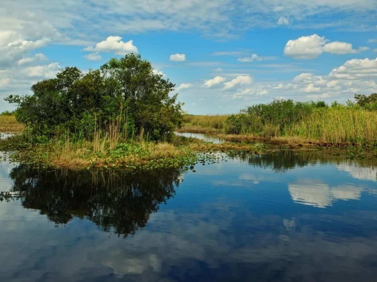 Científicos de EE.UU. van a Florida por un tesoro natural: cómo miden la calidad del agua potable que consumen más de 23 millones de personas
