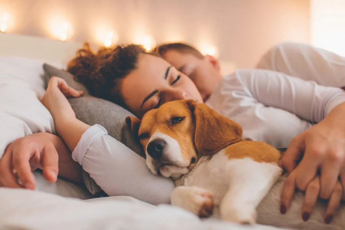 Dormir con el perro: un estudio revela que los humanos suelen despertar primero a sus mascotas