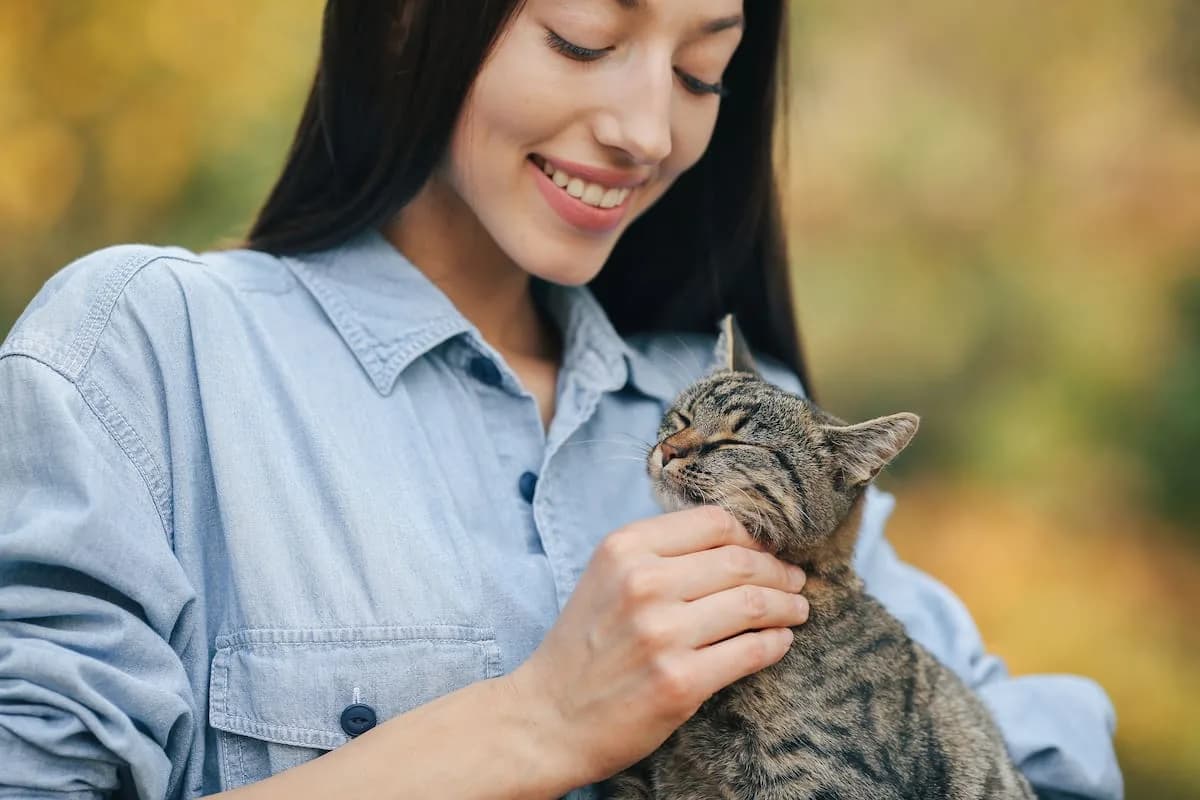 Los veterinarios coinciden: así eligen los gatos a su persona favorita