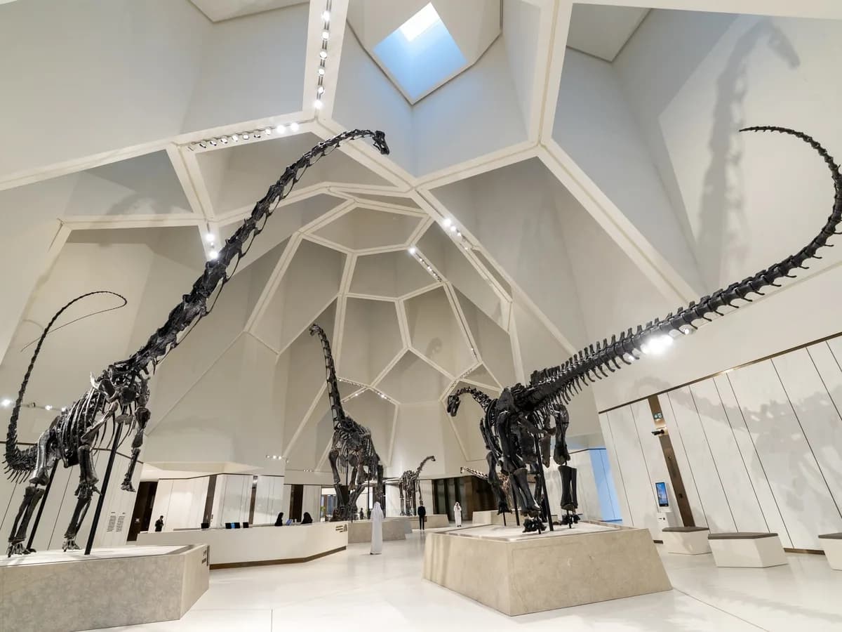 De los fósiles de Dorset a los dinosaurios de China: cómo la prehistoria se convirtió en un negocio