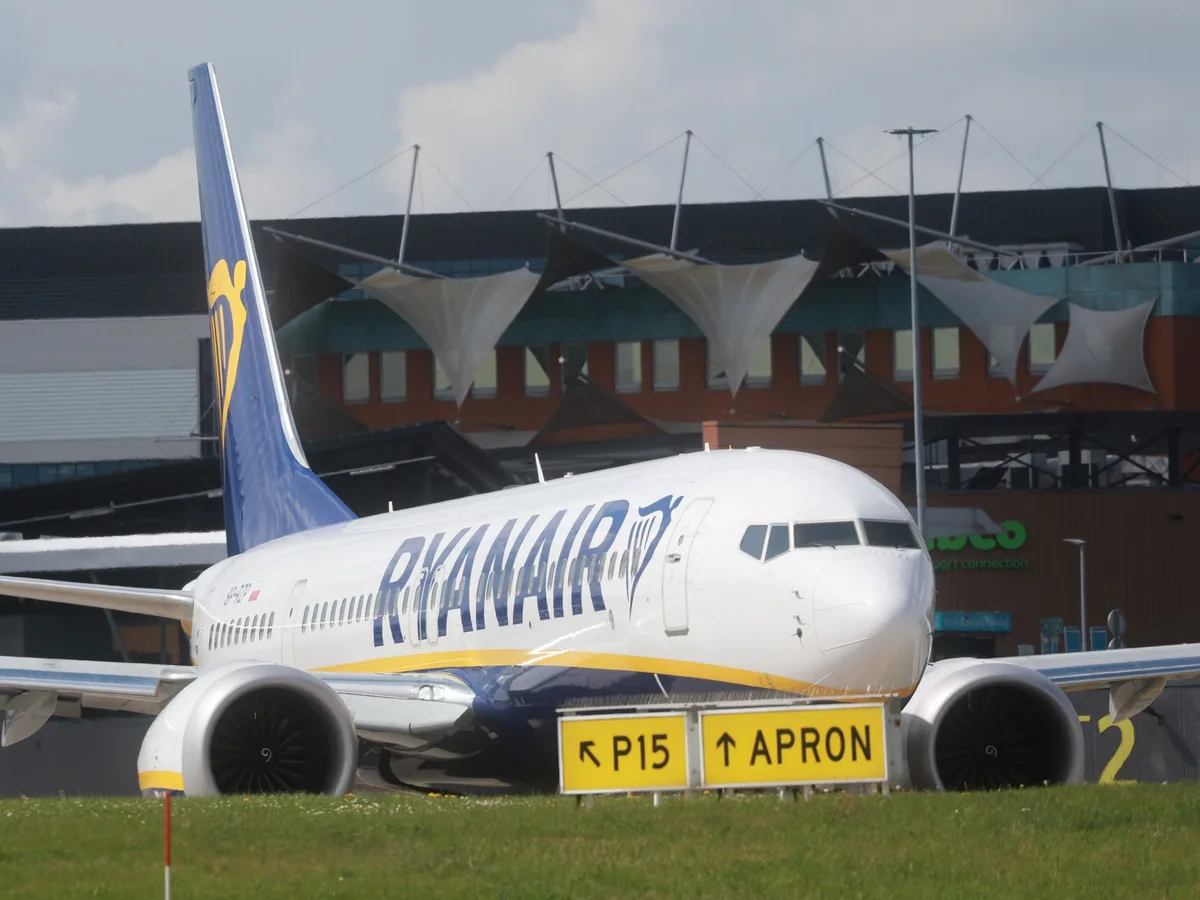Un buitre obstinado impidió durante horas el despegue de un Ryanair en Grecia