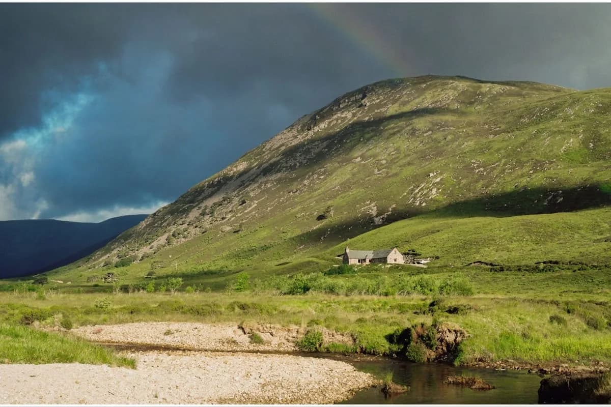 Compró una estancia de 9.300 hectáreas en Escocia, plantó un millón de árboles y volvió la ardilla roja