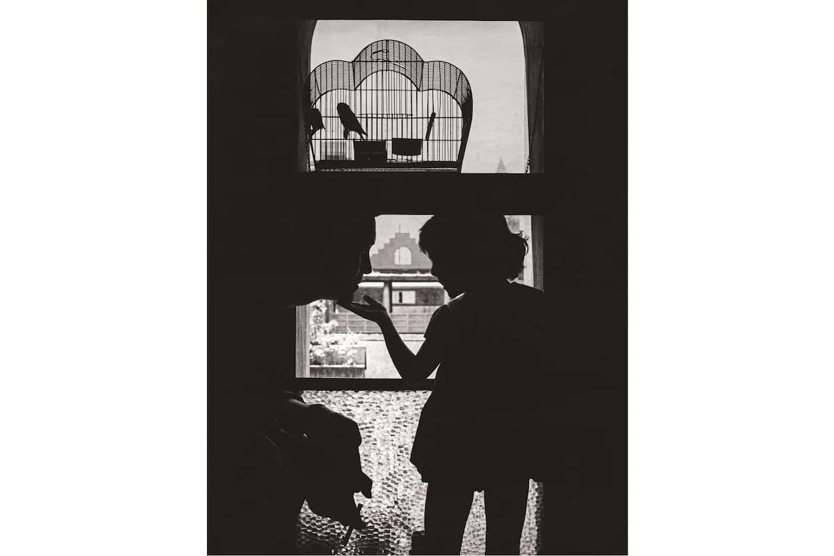 Carlos Alonso: todo lo que una fotografía dice sobre la pintura