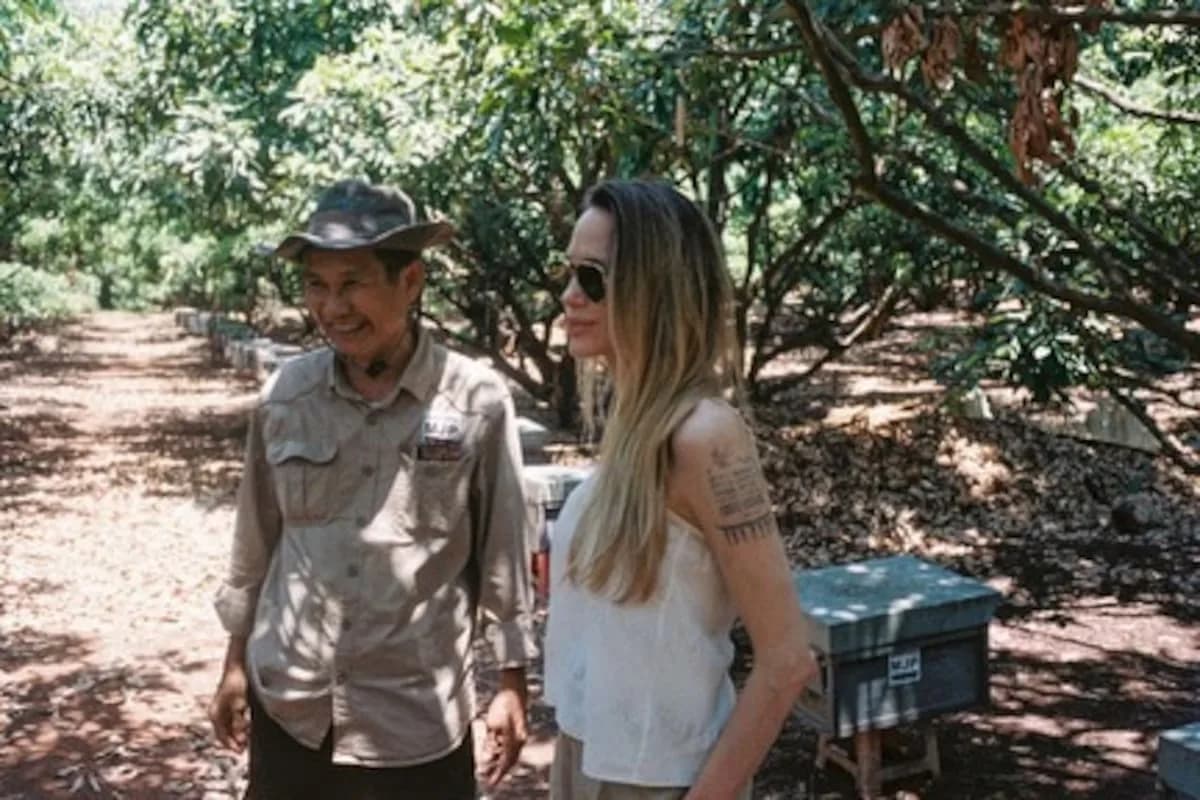 Angelina Jolie protege 60.994 hectáreas de selva en Camboya con un refugio de 200 especies