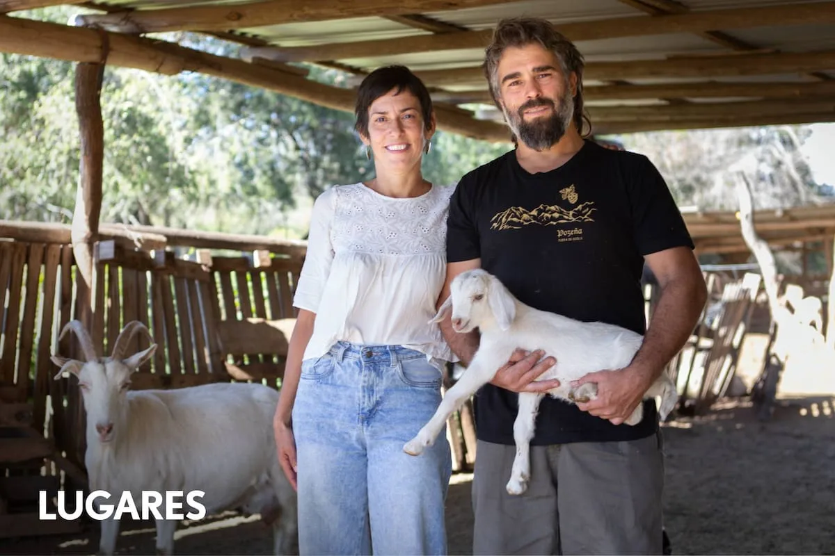 Vivieron en una carpa, empezaron con seis cabras y hoy elaboran algunos de los quesos más premiados del país