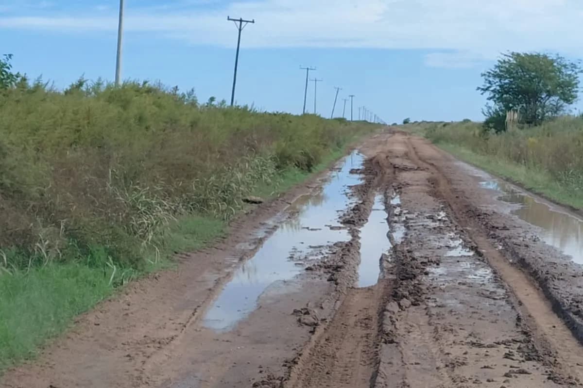 Tasas exorbitantes y mal aplicadas