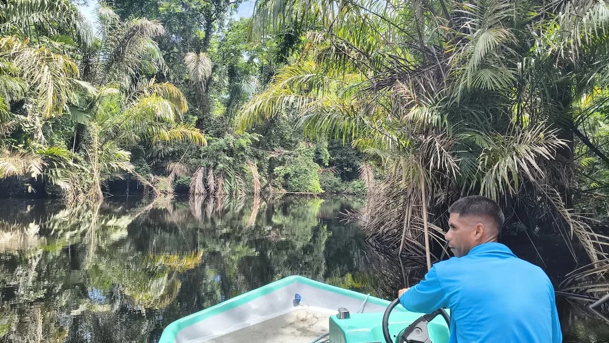 Costa Rica: un viaje por la selva, para navegar entre canales y ver tortugas