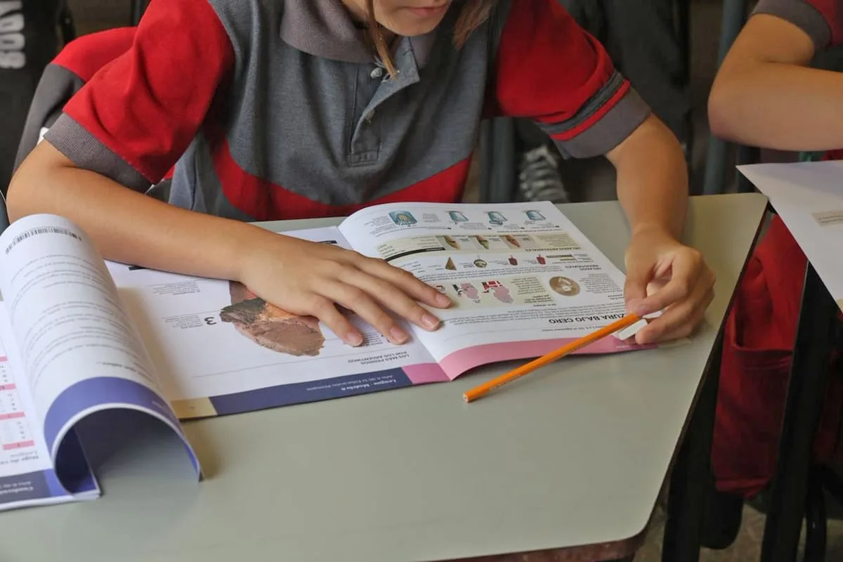 Radiografía federal vs. fotografía global: ¿cómo está hoy la educación en la Argentina?