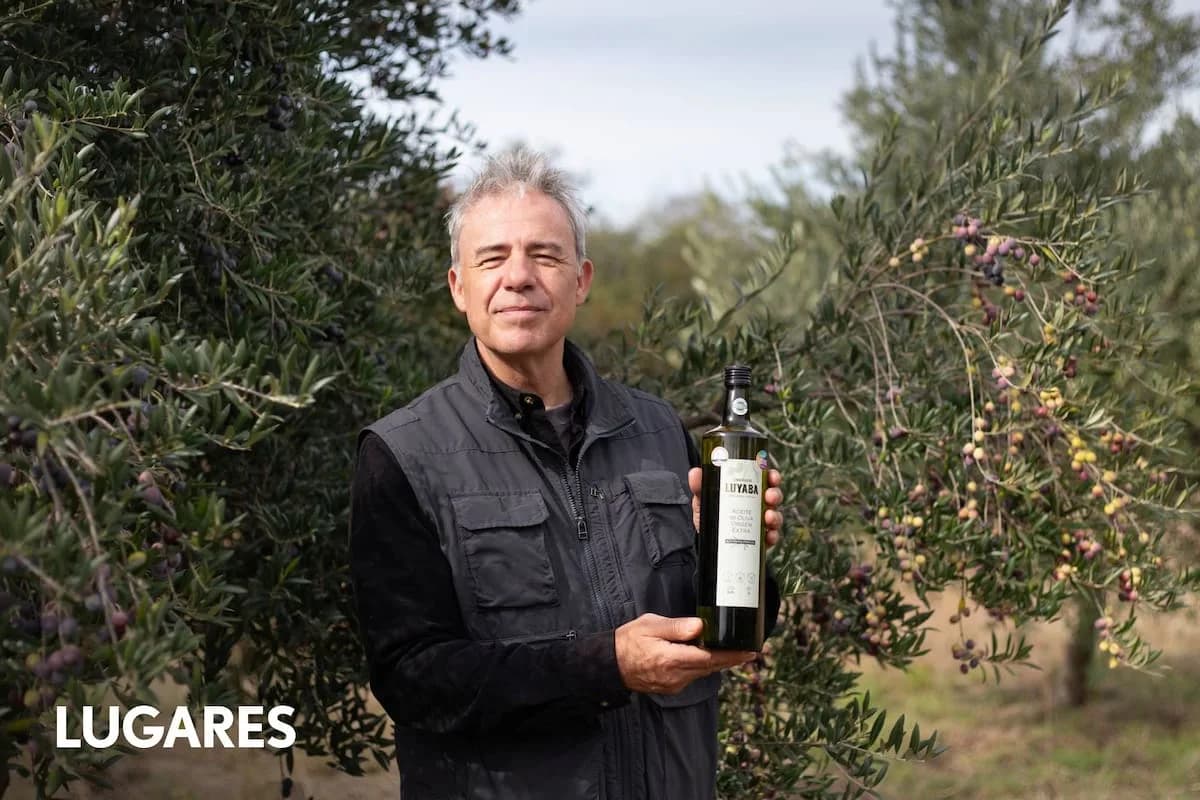 Compraron un olivar abandonado en Córdoba y hoy producen uno de los aceites premiados del país