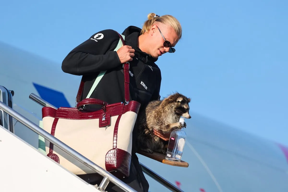 Haaland volvió a Noruega con un mapache disecado comprado en Dallas