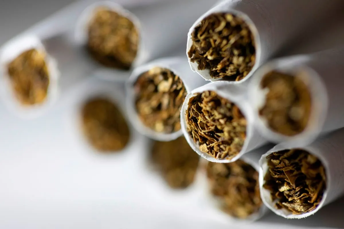Exposición Rural: alertan sobre evasión de US$700 millones en el tabaco y ven una oportunidad de reconversión