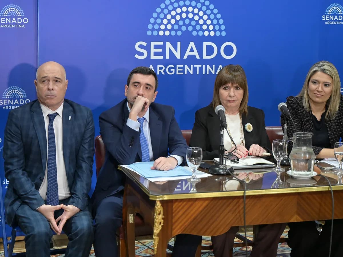 Bullrich anunció cambios en la ley de Tierras para destrabar la votación en el Senado