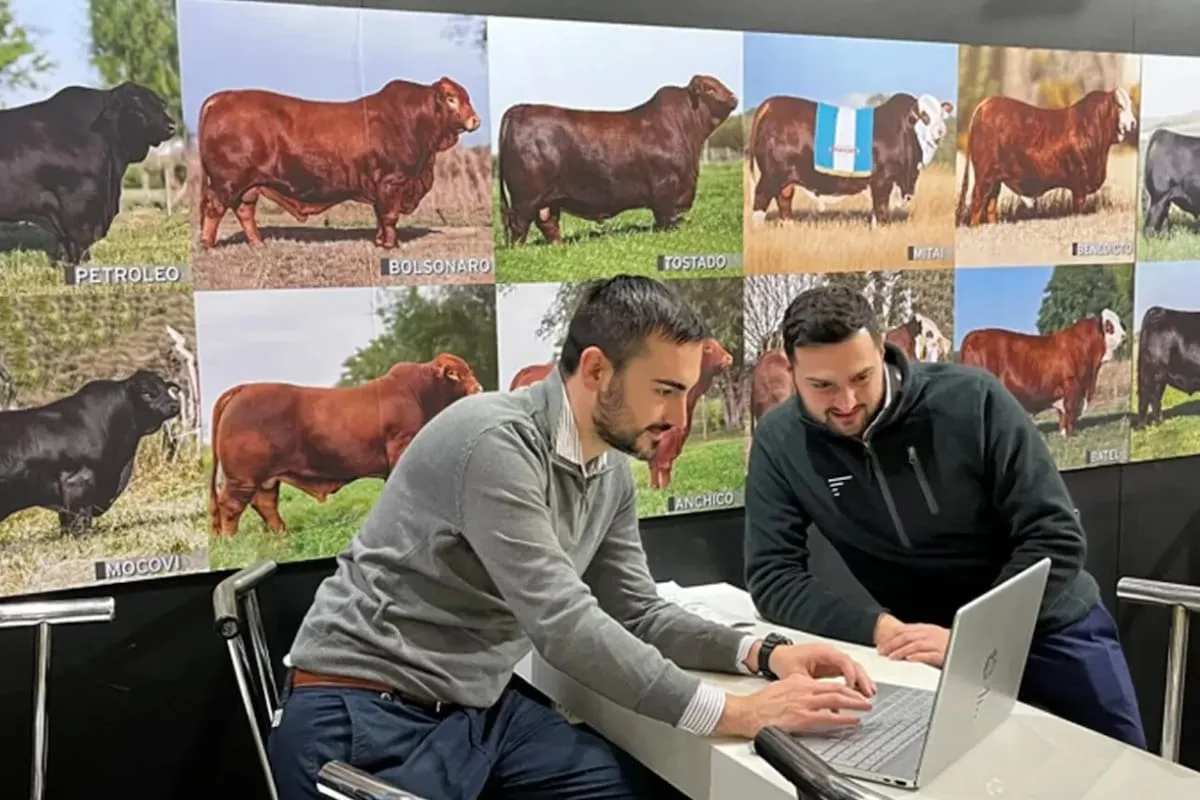 Una llamada desde España cambió el rumbo de Finca IT, la startup que digitaliza 100.000 animales