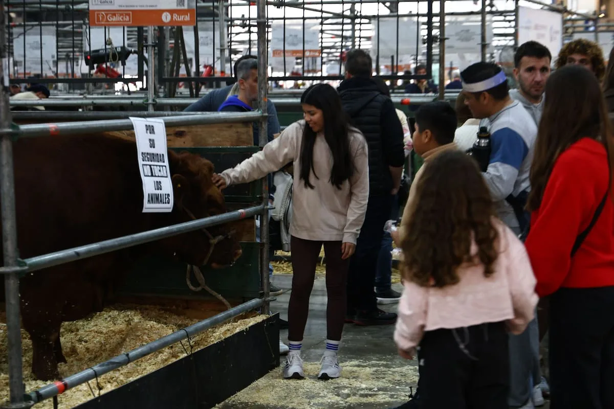 Exposición Rural: los chicos se deslumbran con animales, tractores y actividades