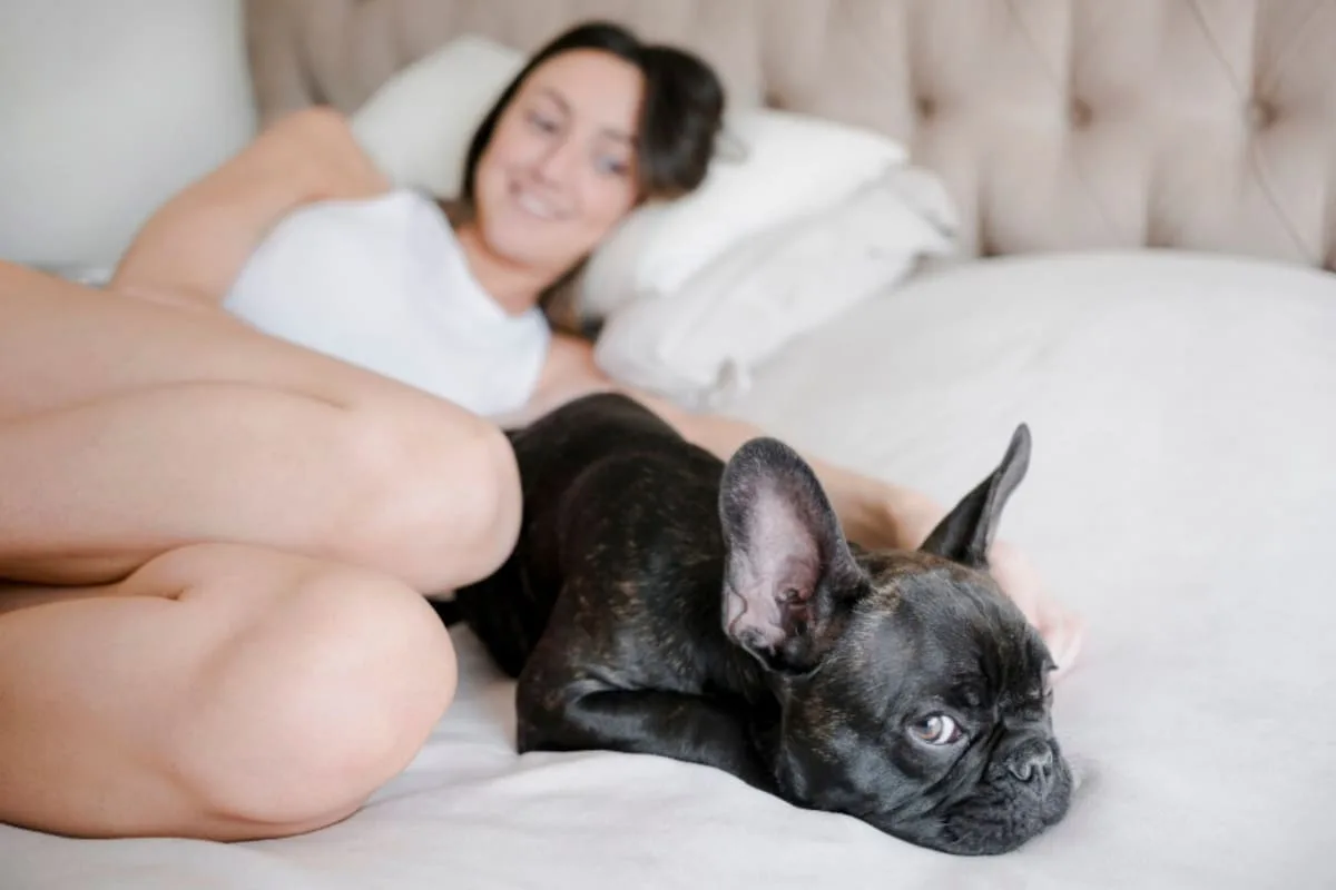 Por qué los perros eligen dormir con sus dueños, según los expertos