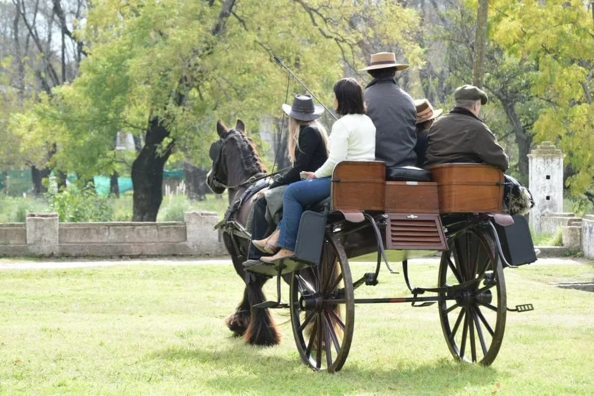 El "jaunting car" irlandés que sorprendió en San Antonio de Areco