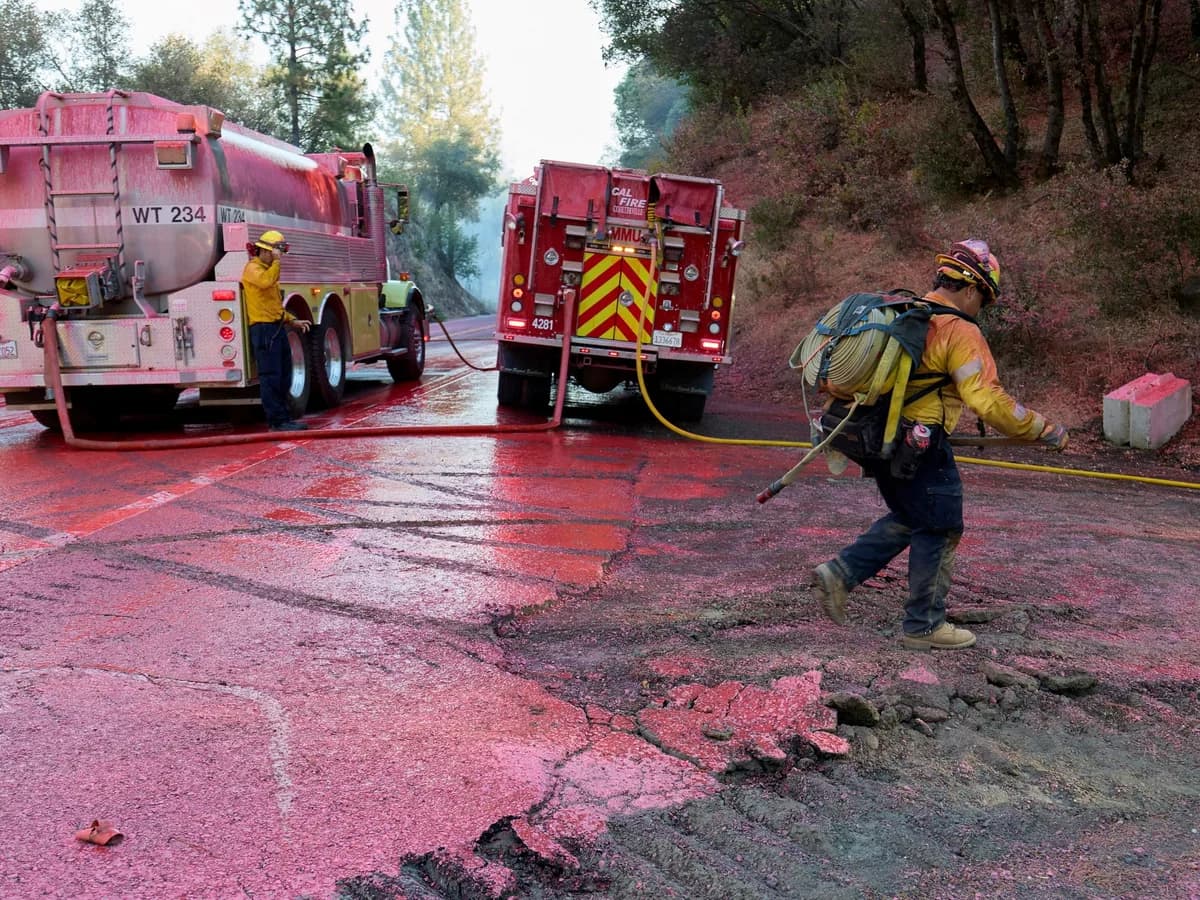 Incendios en Estados Unidos arrasan más de 700.000 hectáreas