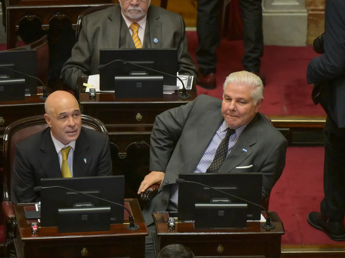 El Senado retoma el debate del Súper RIGI con fecha para el miércoles