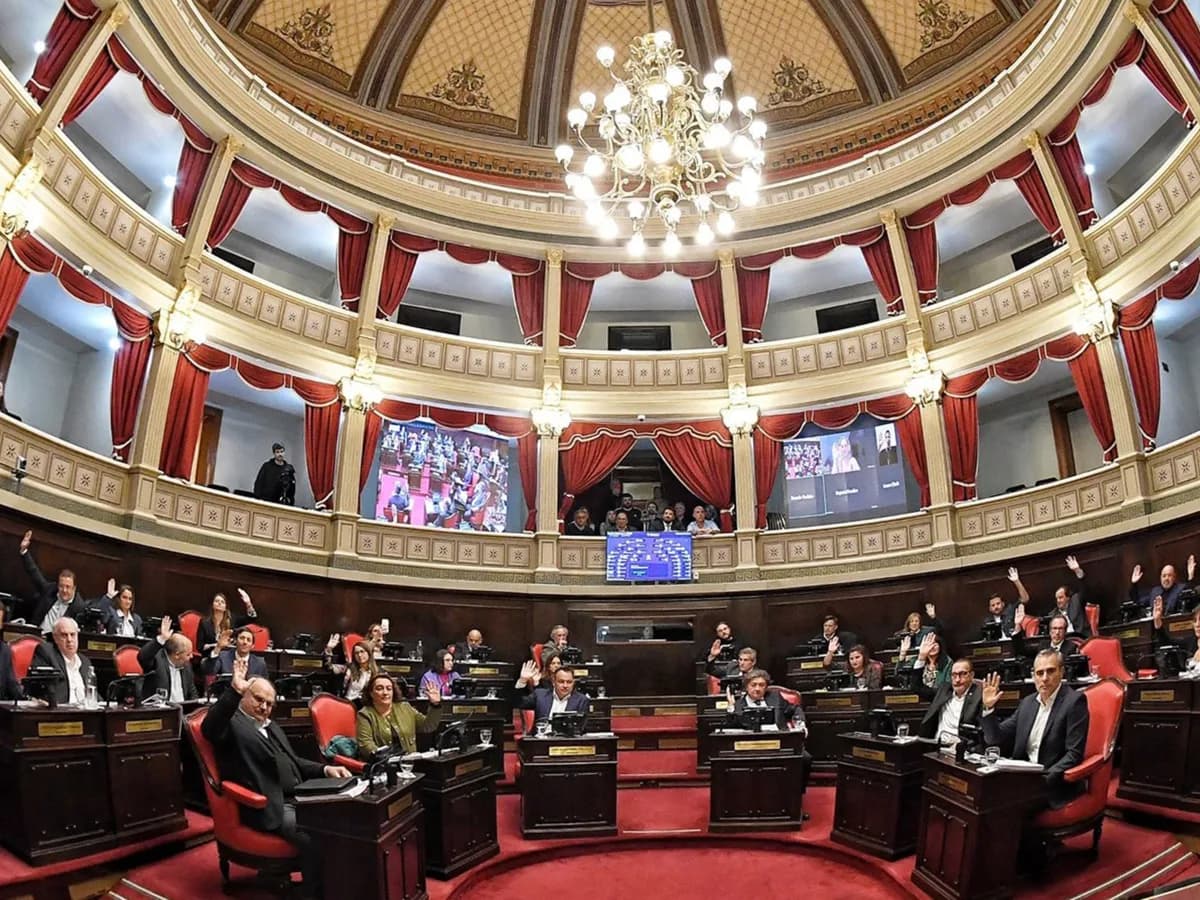 Gritos y cruces en la primera sesión del Senado bonaerense: Berni y Ishii con críticas al gobierno