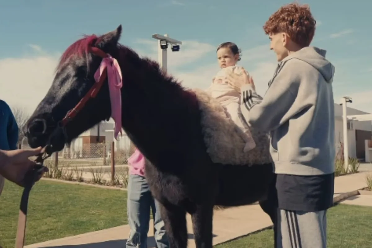El Colo Barco regaló un pony teñido de rosa a su hija y desató la polémica