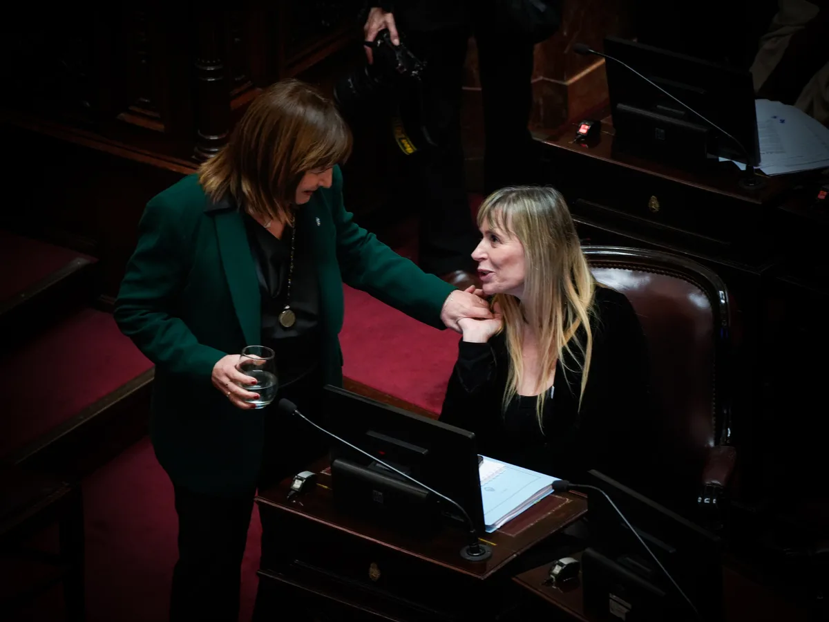 Internas, mala praxis legislativa y gobernadores rebeldes: las alarmas de LLA en el Senado