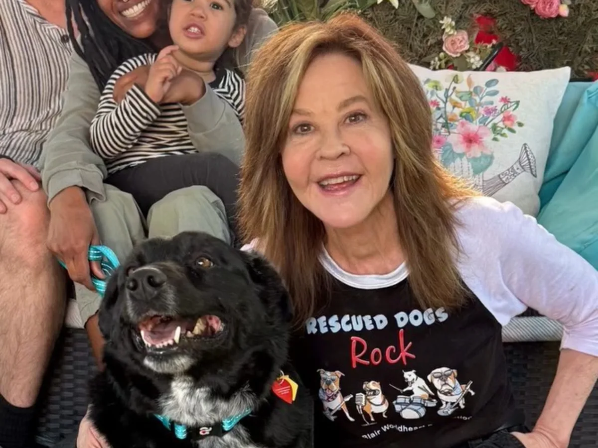 Linda Blair, de El Exorcista, investigada por presunta crianza ilegal de 200 perros