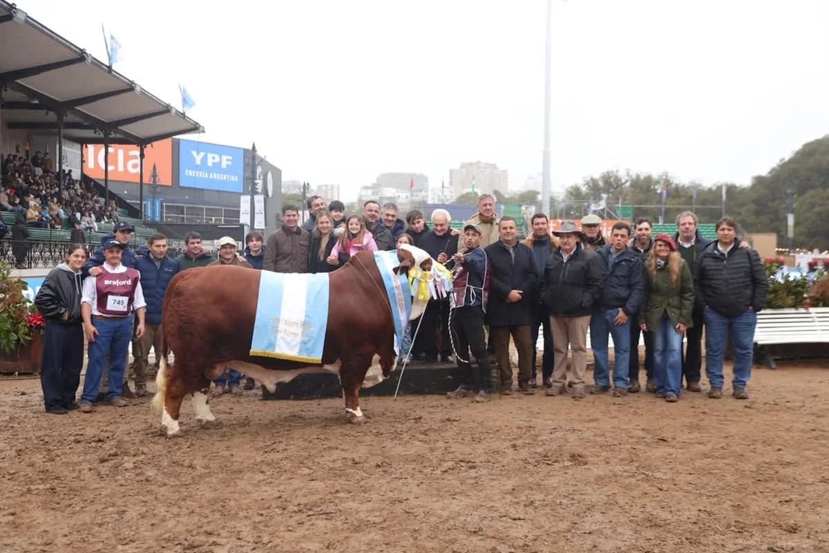 La raza Braford coronó a sus grandes campeones en Palermo con ejemplares cordobeses