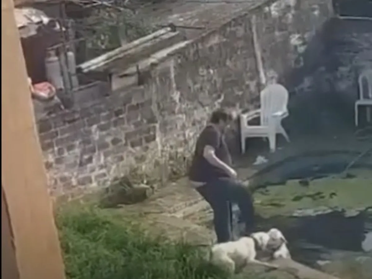 Detienen a adiestrador canino en Pilar: hallaron un perro muerto en su pileta