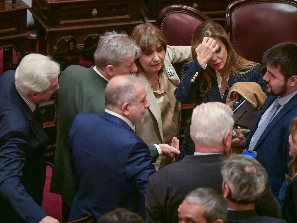 El Congreso reactiva su agenda: Súper RIGI en el Senado y reformas económicas en Diputados