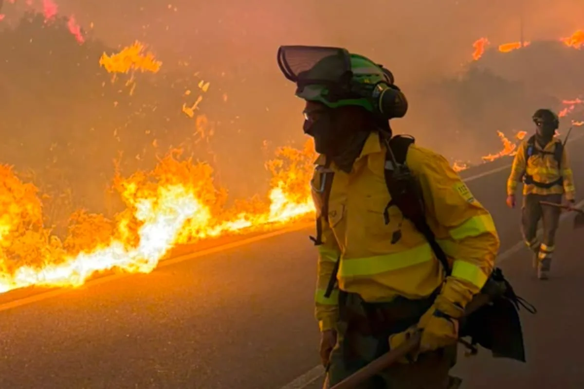 España: al menos 12 muertos y más de 50 heridos por un incendio forestal en Almería