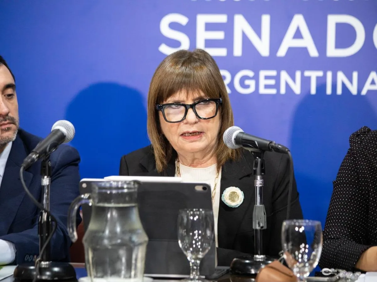 Bullrich cruzó a Villarruel por habilitar el voto virtual de Fernández Sagasti: "Es un mamarracho"