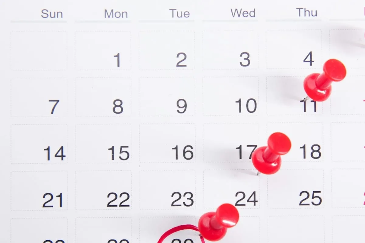 Feriados de julio 2026: cuándo es el fin de semana largo