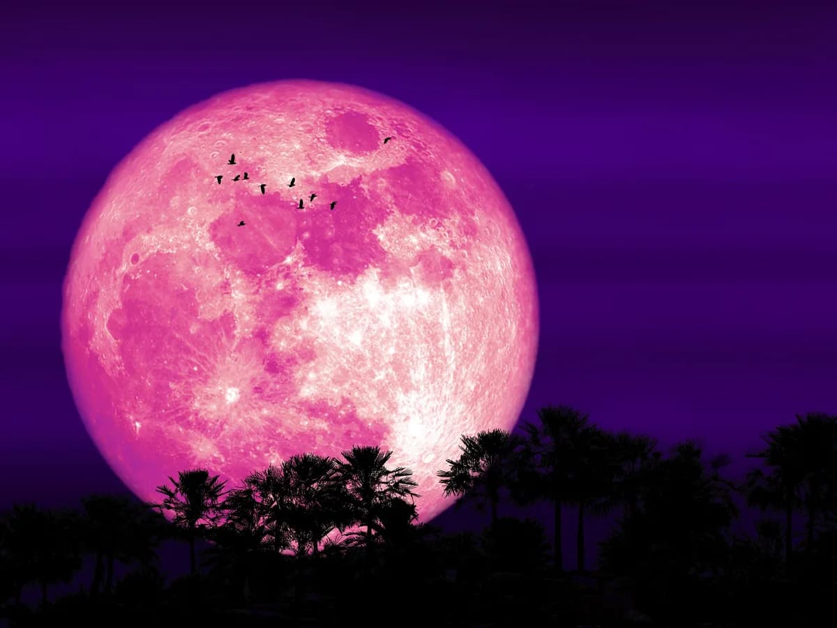 Luna de Fresa: cuándo y a qué hora ver la luna llena de junio