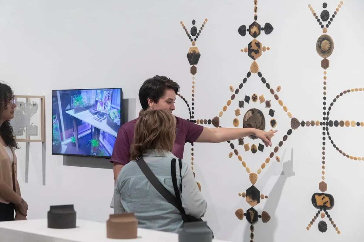 Prórroga del Salón Nacional de Artes Visuales por falta de inscriptos