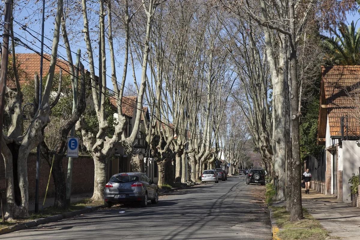 Alquileres en zona norte: por qué los precios bajaron un 7,2% en el último año pese a que los inquilinos pagan más