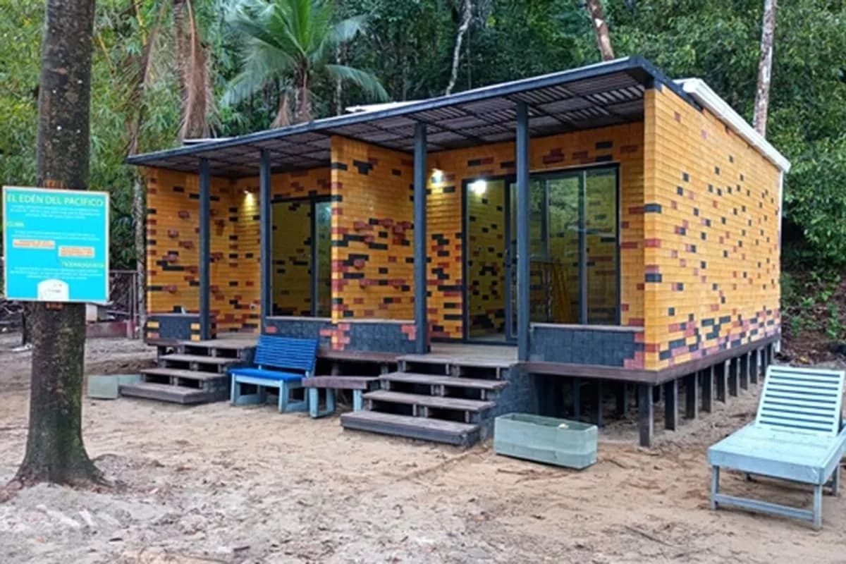 Innovación en la construcción: ladrillos hechos con caña de azúcar y desechos de cerveza