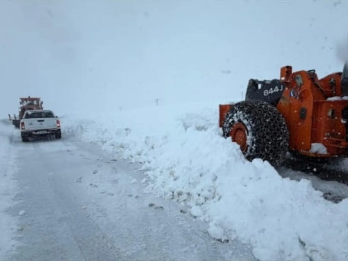 Alerta roja en Chubut y Santa Cruz por frío extremo: hasta -16°C